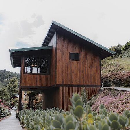 Lauraceas Lodge San Gerardo de Dota Zewnętrze zdjęcie