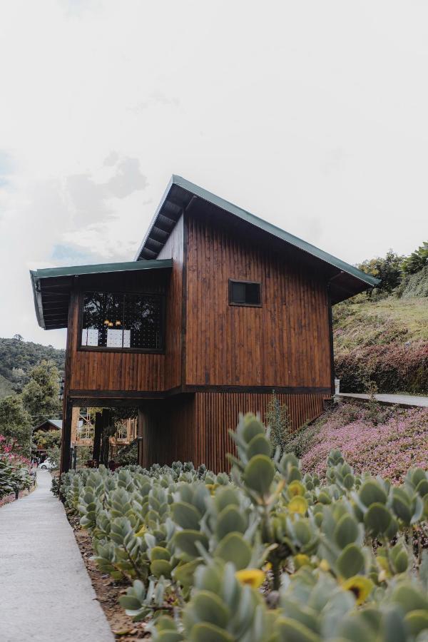 Lauraceas Lodge San Gerardo de Dota Zewnętrze zdjęcie