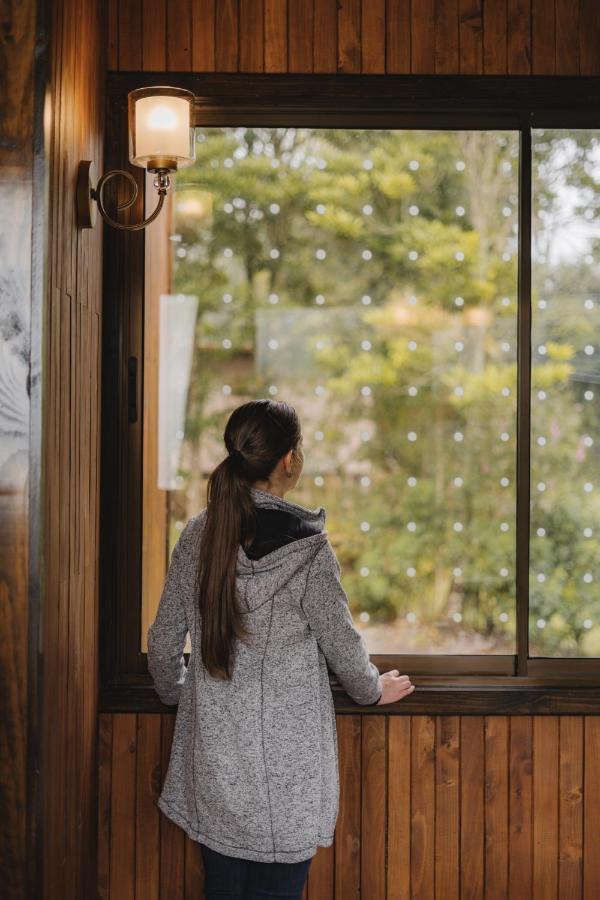 Lauraceas Lodge San Gerardo de Dota Zewnętrze zdjęcie