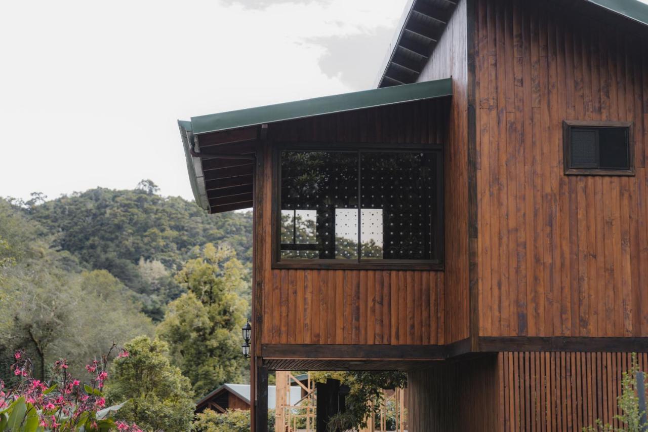 Lauraceas Lodge San Gerardo de Dota Zewnętrze zdjęcie